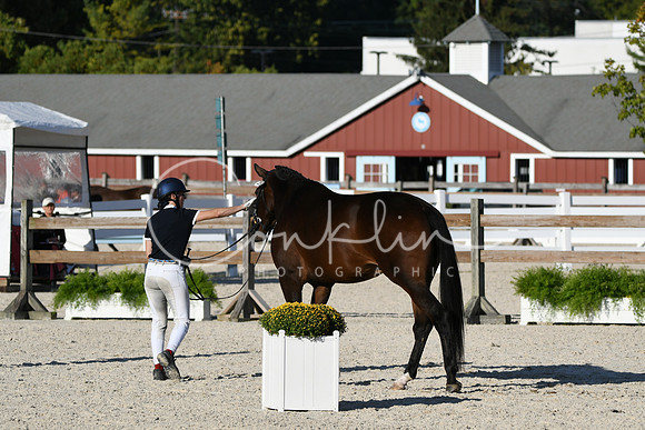 HSM_5441