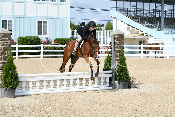 HSM_6179