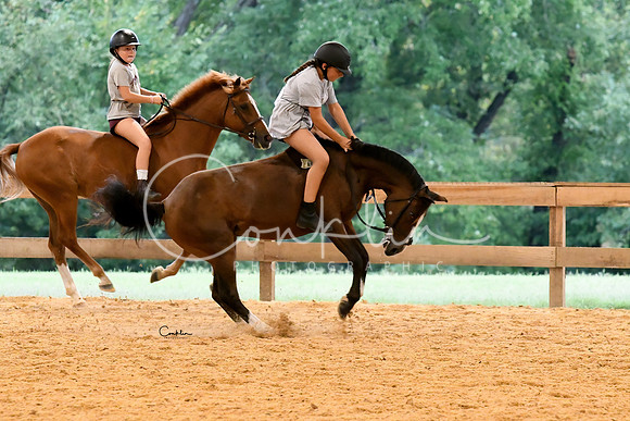 HSM_0485 copy-1