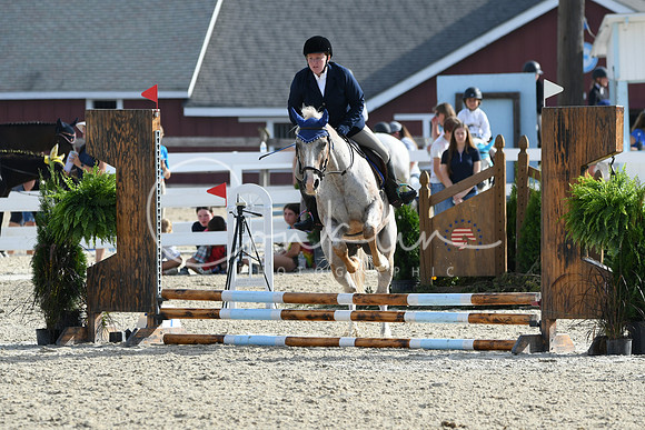 HSM_1557