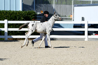HSM_4441