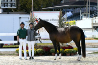 HSM_6461