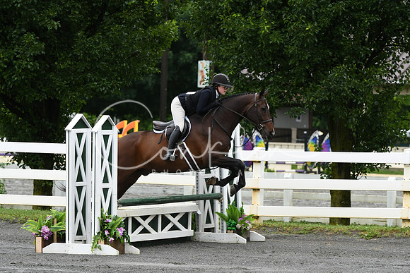 HSM_3545