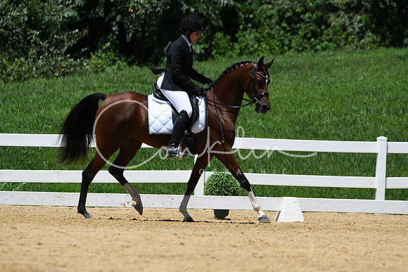 HSM_1512