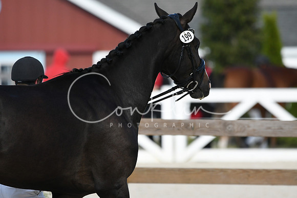 HSM_5307