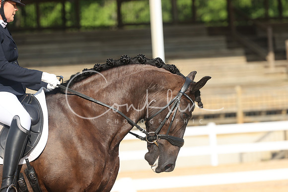 RJC32007