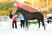HSM_5689