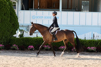 00 Thoroughbred Hunter Flat