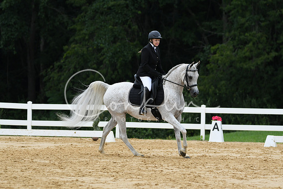 HSM_0288