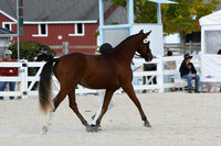 HSM_5349