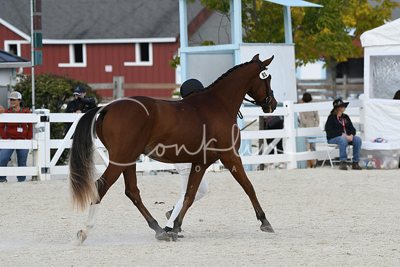 HSM_5349