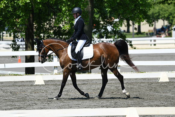 HSM_1405
