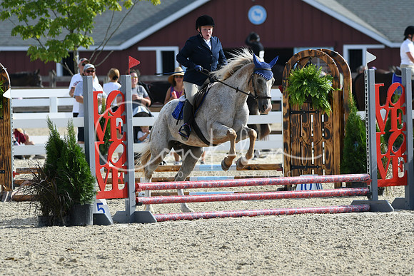 HSM_1556