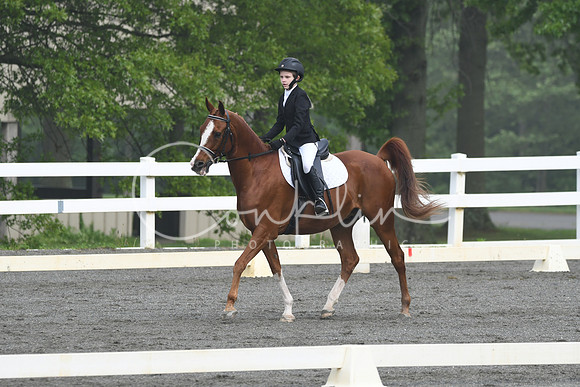 HSM_0892