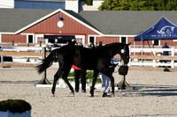 HSM_5577