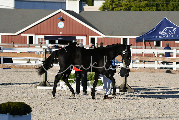 HSM_5577