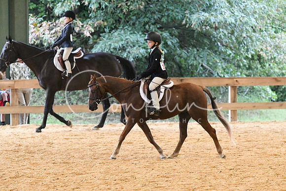 HSM_4445