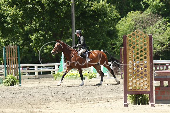 1I7A2704