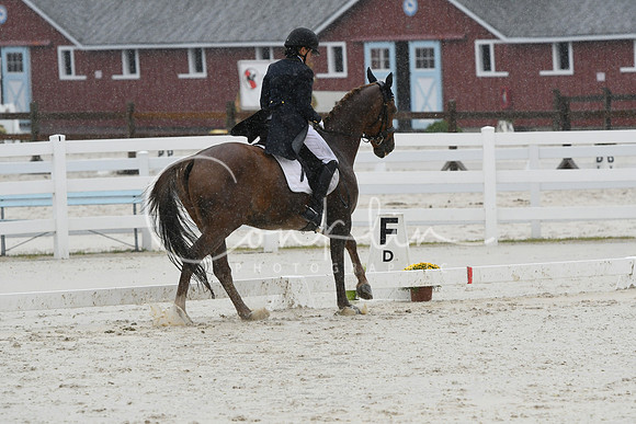 HSM_0967