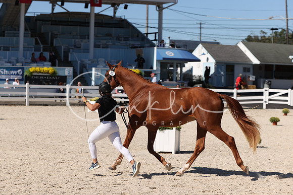 RJC31052