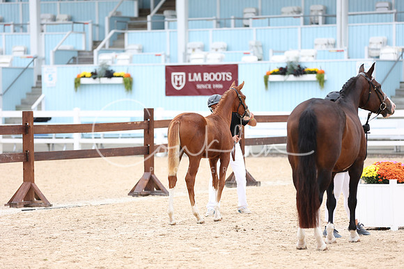 JRM_7976