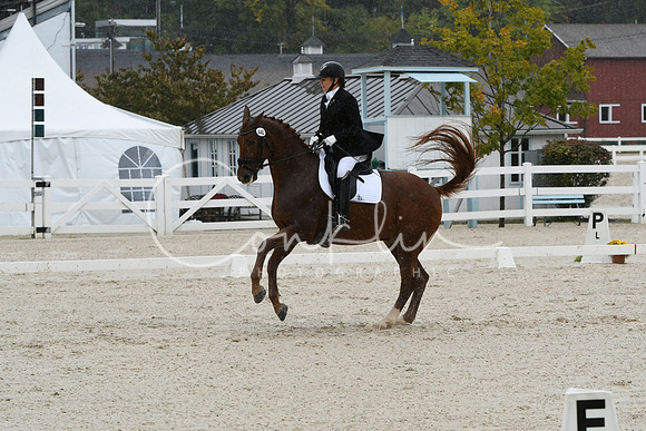 HSM_0371