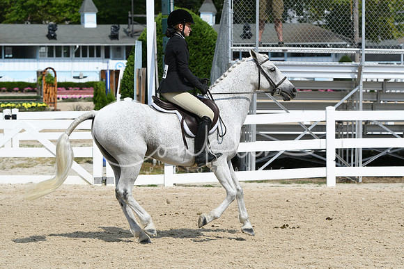 HSM_6431