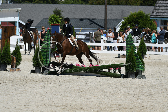 HSM_3274