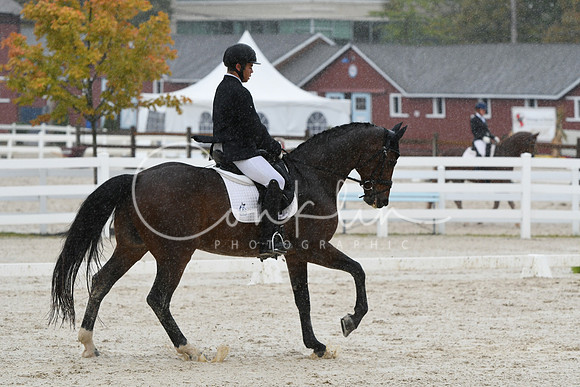 HSM_0498