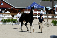 HSM_4936