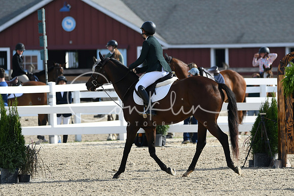 HSM_1518
