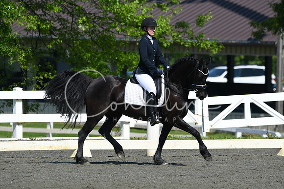 HSM_1163