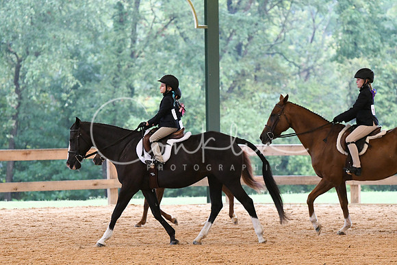 HSM_4293