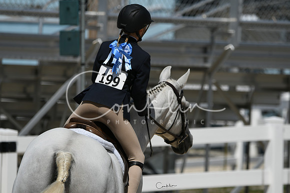 HSM_3169-1