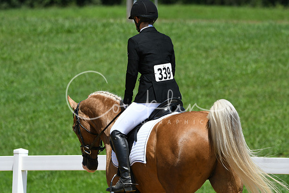 HSM_1373