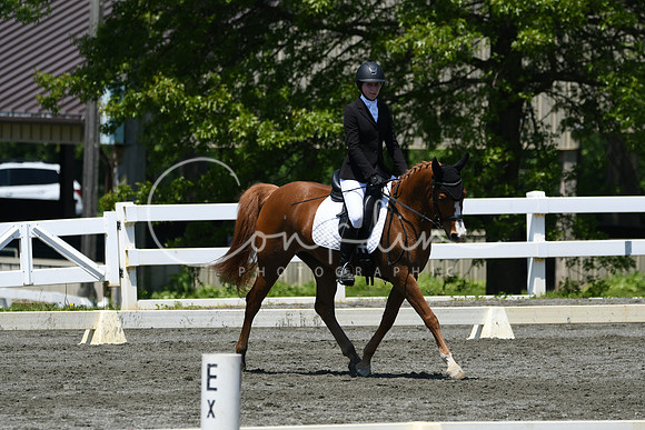 HSM_1563