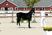 HSM_5118