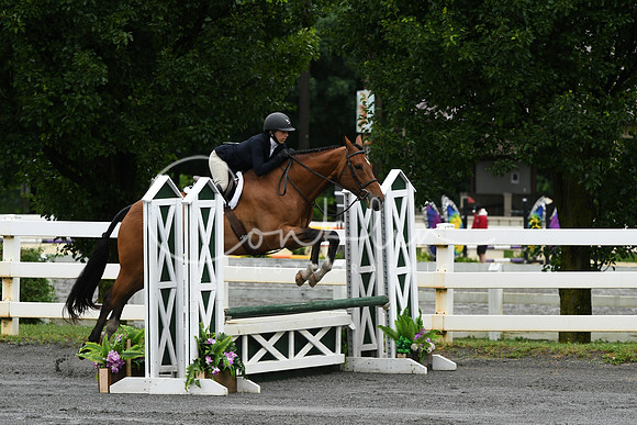 HSM_3522
