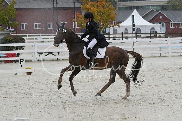 HSM_0962