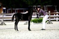 HSM_5813-1