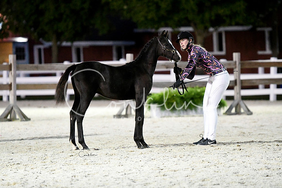 HSM_5813-1