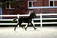HSM_5819-1