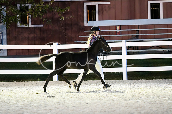 HSM_5819-1