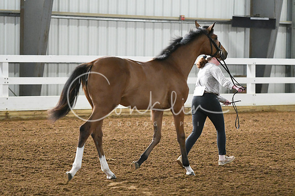 HSM_3634