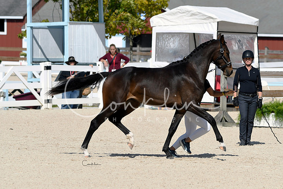 HSM_5046-1