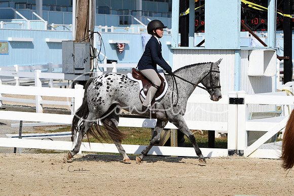 HSM_8323-1