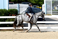 HSM_8452-1