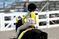 HSM_0853-1