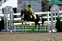 HSM_1225-1
