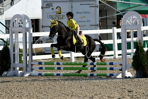 HSM_1225-1